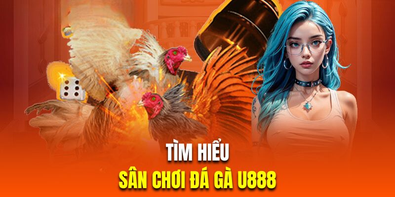 Giới thiệu sảnh đá gà U888 đặc sắc
